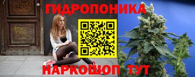 гидропоника Гагарин