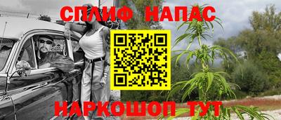 меф Гатчина
