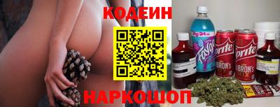 меф Гатчина