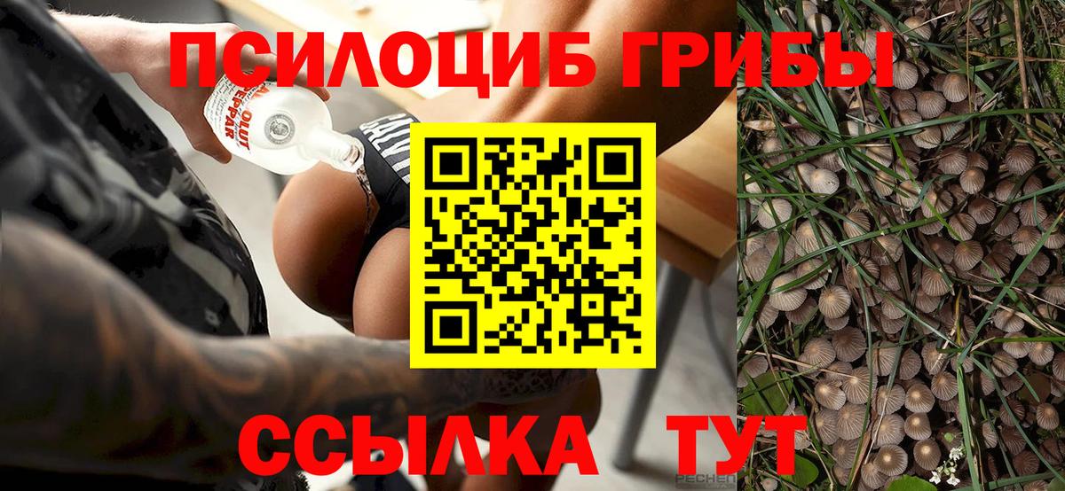 COCAIN  Кыштым  Конопля  Вход с VPN  Мефедрон кристаллы  ГАШИШ  МЕТАМФЕТАМИН  Кетамин 