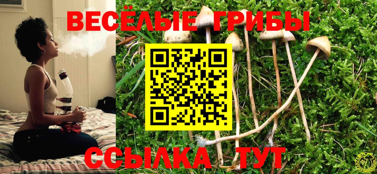 Псилоцибиновые грибы мицелий  Вход с VPN  Кыштым 
